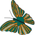 Oca Butterfly 097
