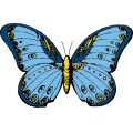 Oca Butterfly 099