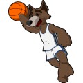 Oca Basketball 019