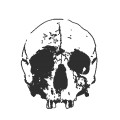 Skull002