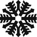 As Snowflake 029