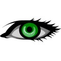Oca Eye 013