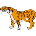 Oca Tiger 013