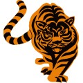 Oca Tiger 014