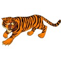 Oca Tiger 015