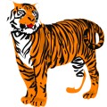 Oca Tiger 016