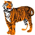 Oca Tiger 016