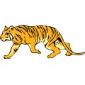 Oca Tiger 017