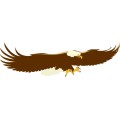 Oca Eagle 002