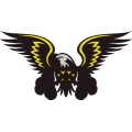 Oca Eagle 014