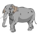 Oca Elephant 008