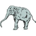 Oca Elephant 009