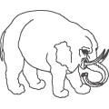 Oca Elephant 015