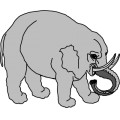 Oca Elephant 016