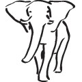 Oca Elephant 023
