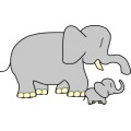 Oca Elephant 029