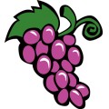 Oca Grape 003