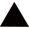 Oca Triangle 014 B