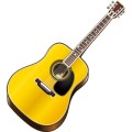 Oca Guitar 001