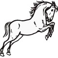 Oca Horse 012