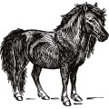 Oca Horse 015