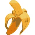 Pt Banana 01