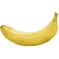 Pt Banana 02