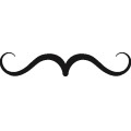 As Mustache 02