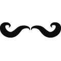 As Mustache 07