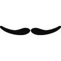 As Mustache 15