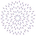 Pt Firework01