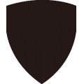 Pt Shield 03