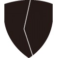 Pt Shield 11
