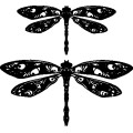 Pt Tattoo Dragonfly 01