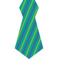 Pt Tie 002