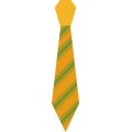 Pt Life And Family Tie 03