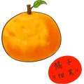 Pt Food Fruit Orange 01