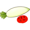 Pt Food Fruit White Radish 01