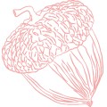 Pt Pine Cone04