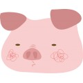 Pt Pig 08