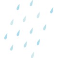 Pt Rain05
