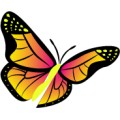 Oca Butterfly 148
