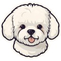 Bichon Dog 001