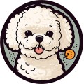 Bichon Dog 003