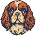 Cavalier King Charles Spaniel Dog 001