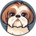 Shih Tzu Dog 002