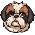 Shih Tzu Dog 003