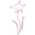 Pt Star Flower