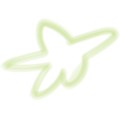 Pt Flower Star