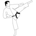 Anonymous Karate Kick